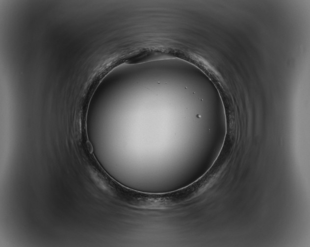X0000086310493200704131635
