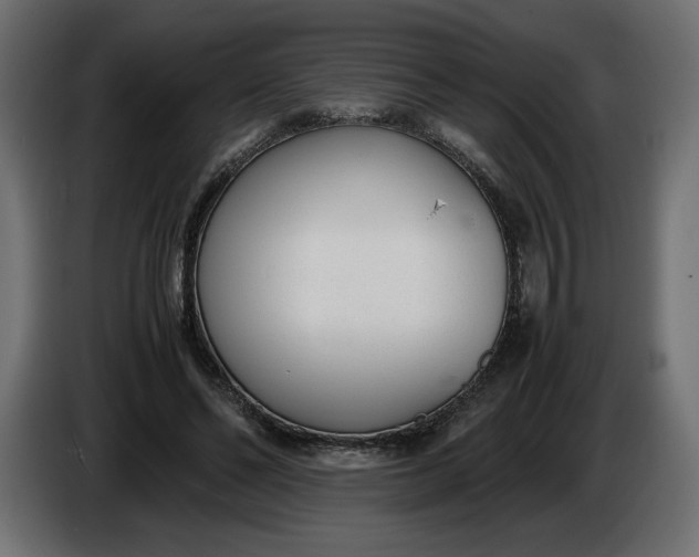 X0000086310494200704131635