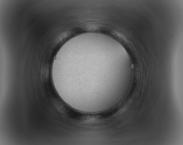 X0000086310495200704131635