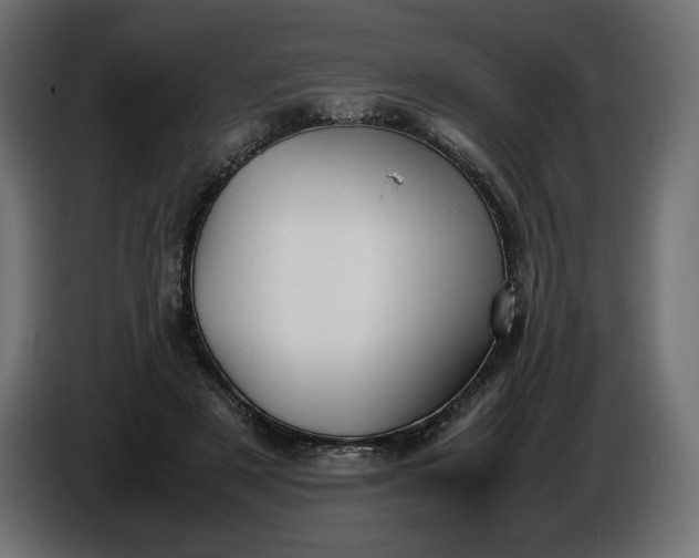 X0000086310497200704131634