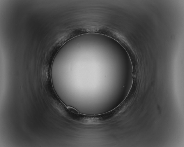 X0000086310501200704131634