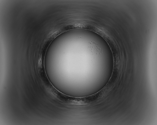 X0000086310502200704131634