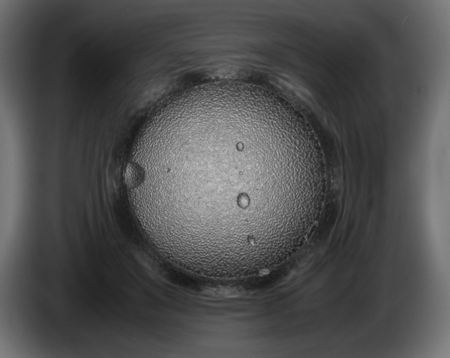 X0000086310503200704131634