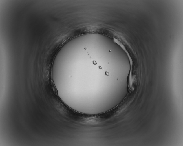 X0000086310505200704131634