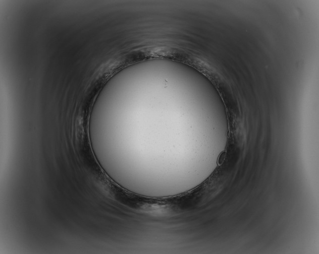 X0000086310506200704131634