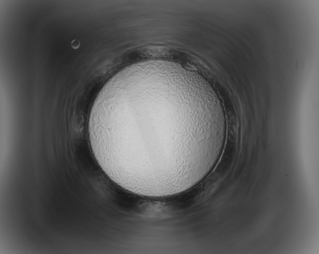 X0000086310507200704131634
