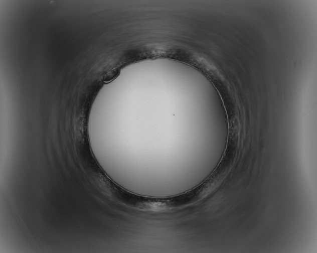X0000086310509200704131634