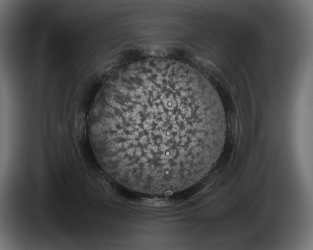 X0000086310511200704131634