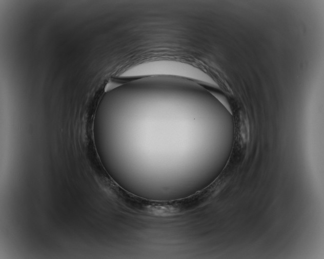 X0000086310512200704131634