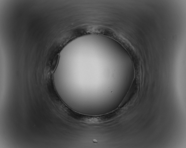X0000086310513200704131634