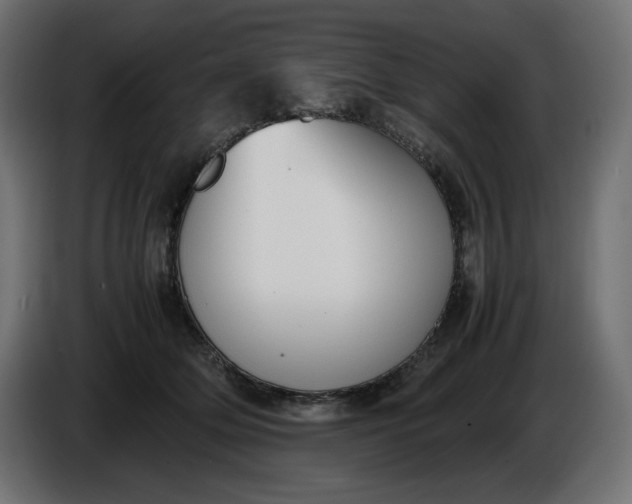 X0000086310514200704131634