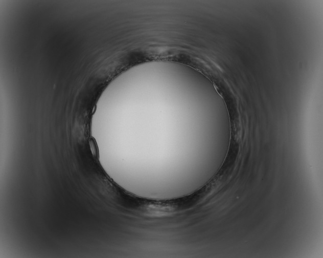 X0000086310515200704131634