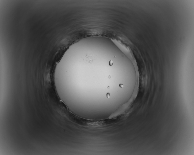 X0000086310516200704131634