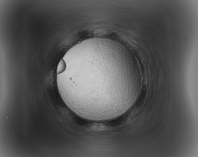 X0000086310519200704131634