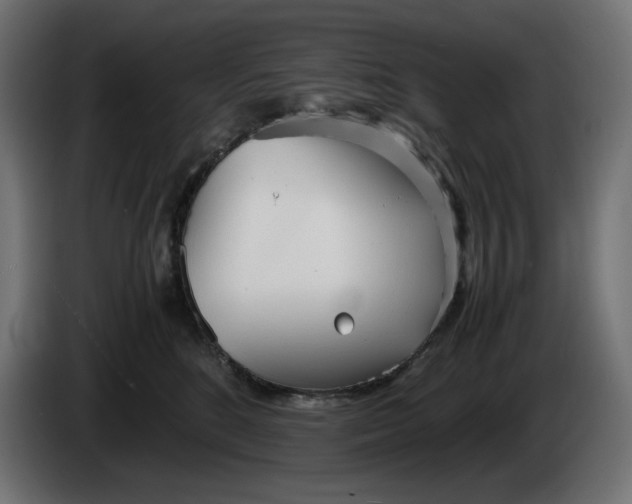 X0000086310520200704131634