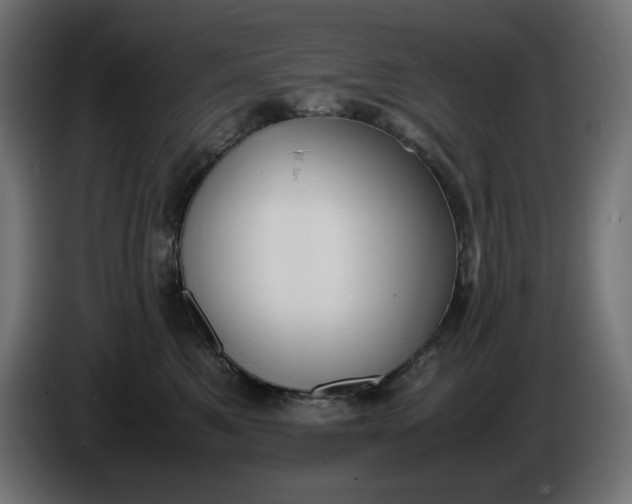 X0000086310521200704131634