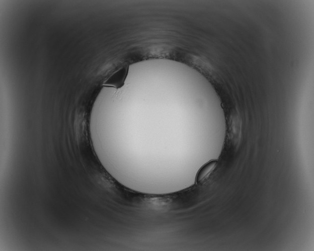X0000086310522200704131634