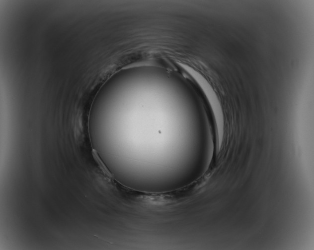 X0000086310524200704131634