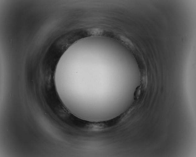 X0000086310525200704131634