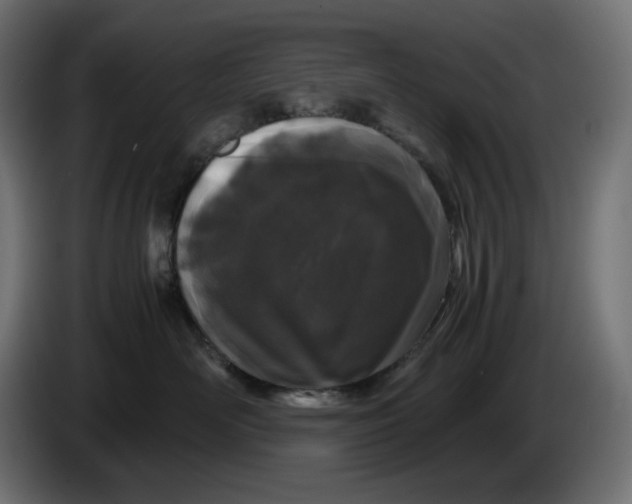 X0000086310526200704131634