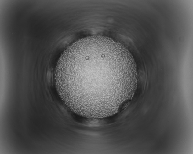 X0000086310527200704131634