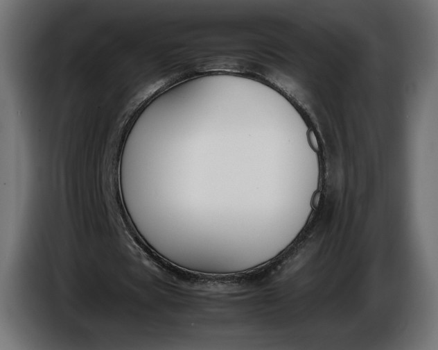 X0000086310529200704131633