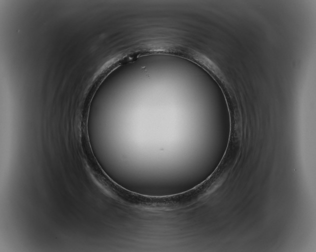 X0000086310530200704131633
