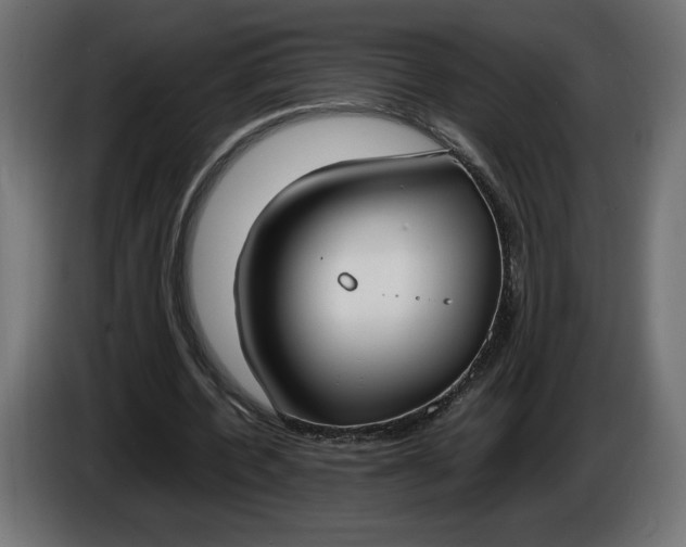 X0000086310532200704131633