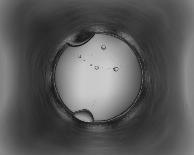 X0000086310533200704131633