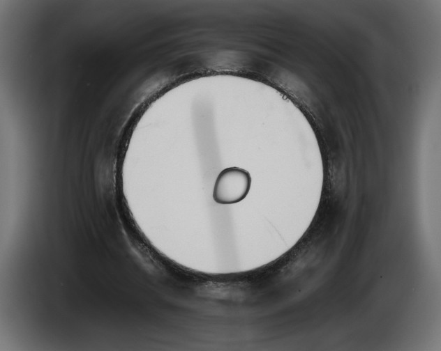 X0000086310534200704131633