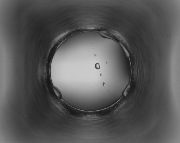 X0000086310536200704131633