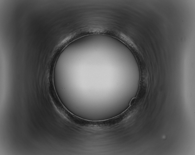 X0000086310538200704131633