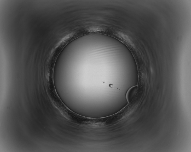 X0000086310539200704131633