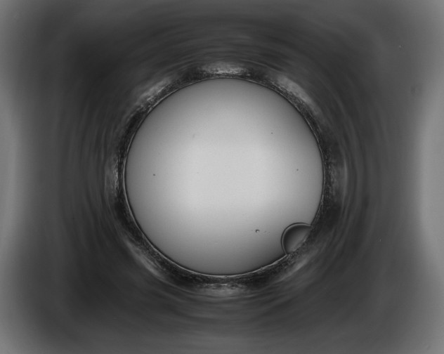 X0000086310541200704131634