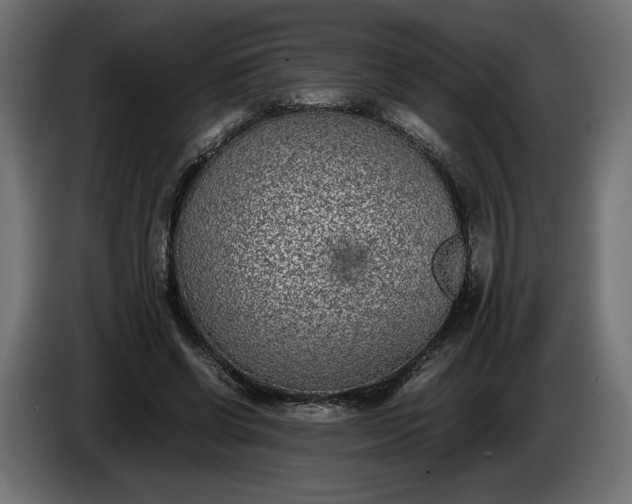 X0000086310542200704131634