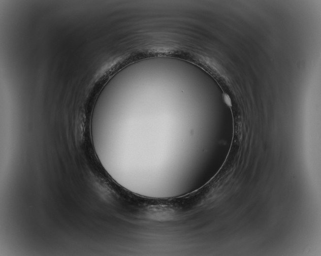X0000086310544200704131634