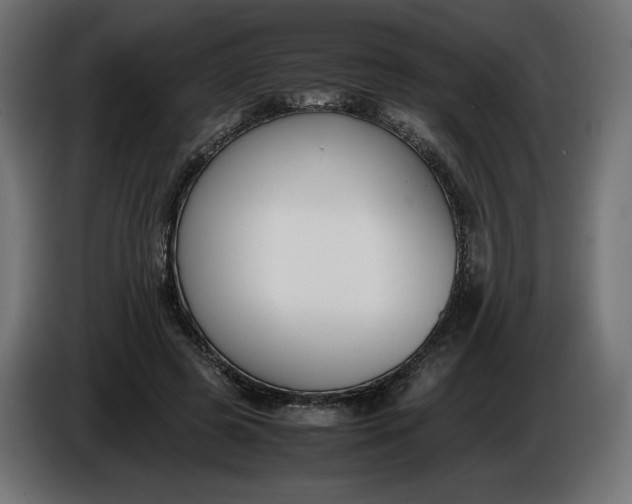 X0000086310545200704131634