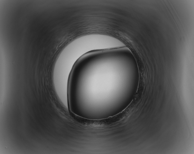 X0000086310546200704131634