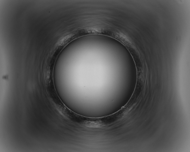 X0000086310548200704131634
