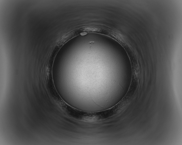 X0000086310551200704131634