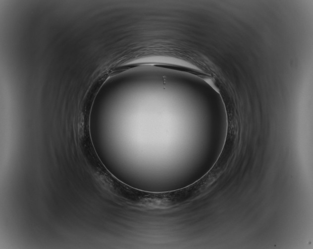 X0000086310552200704131634