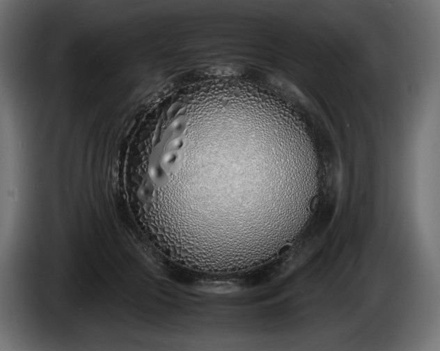 X0000086310553200704131634
