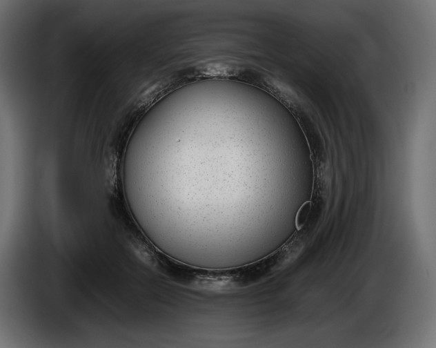 X0000086310554200704131634