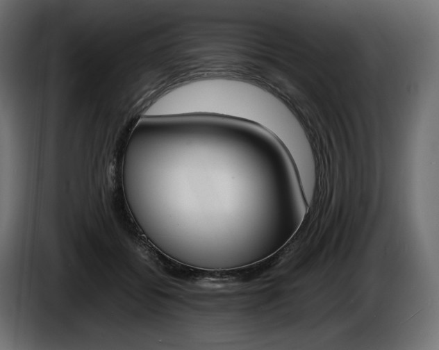 X0000086310556200704131634