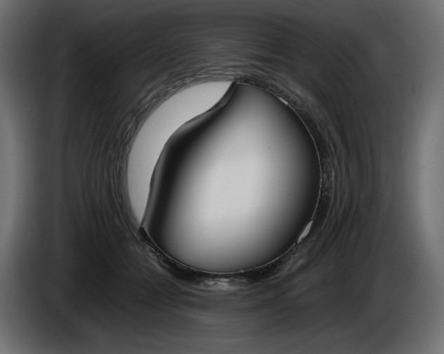 X0000086310558200704131634