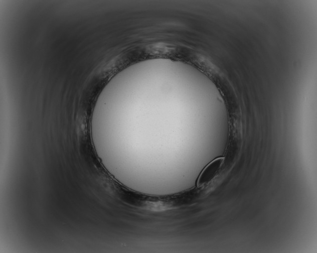 X0000086310561200704131634
