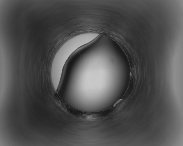 X0000086310564200704131634