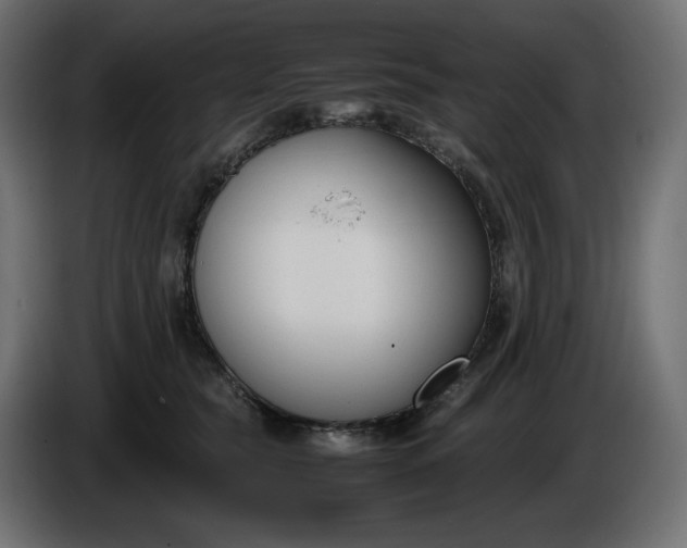 X0000086310565200704131634