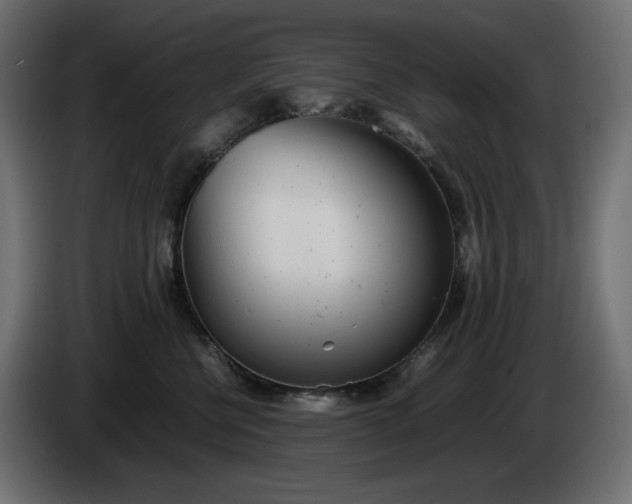 X0000086310570200704131634