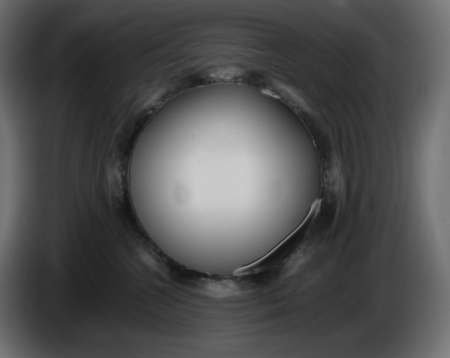 X0000086310572200704131634